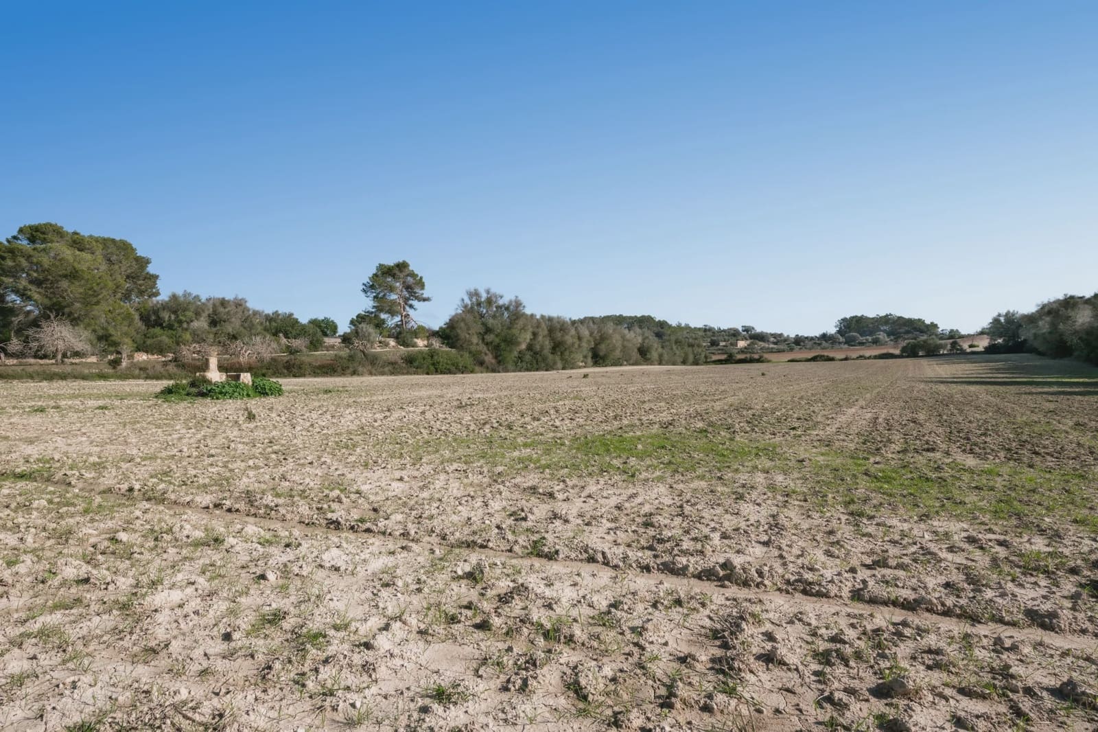 Undeveloped Land for sale in Lloret de Vista Alegre - € 157,000 (Ref: 9006639)
