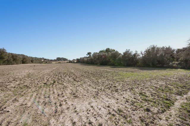 Landgrundstück zu verkaufen in Lloret de Vista Alegre - 157.000 € (Ref: 9006639)