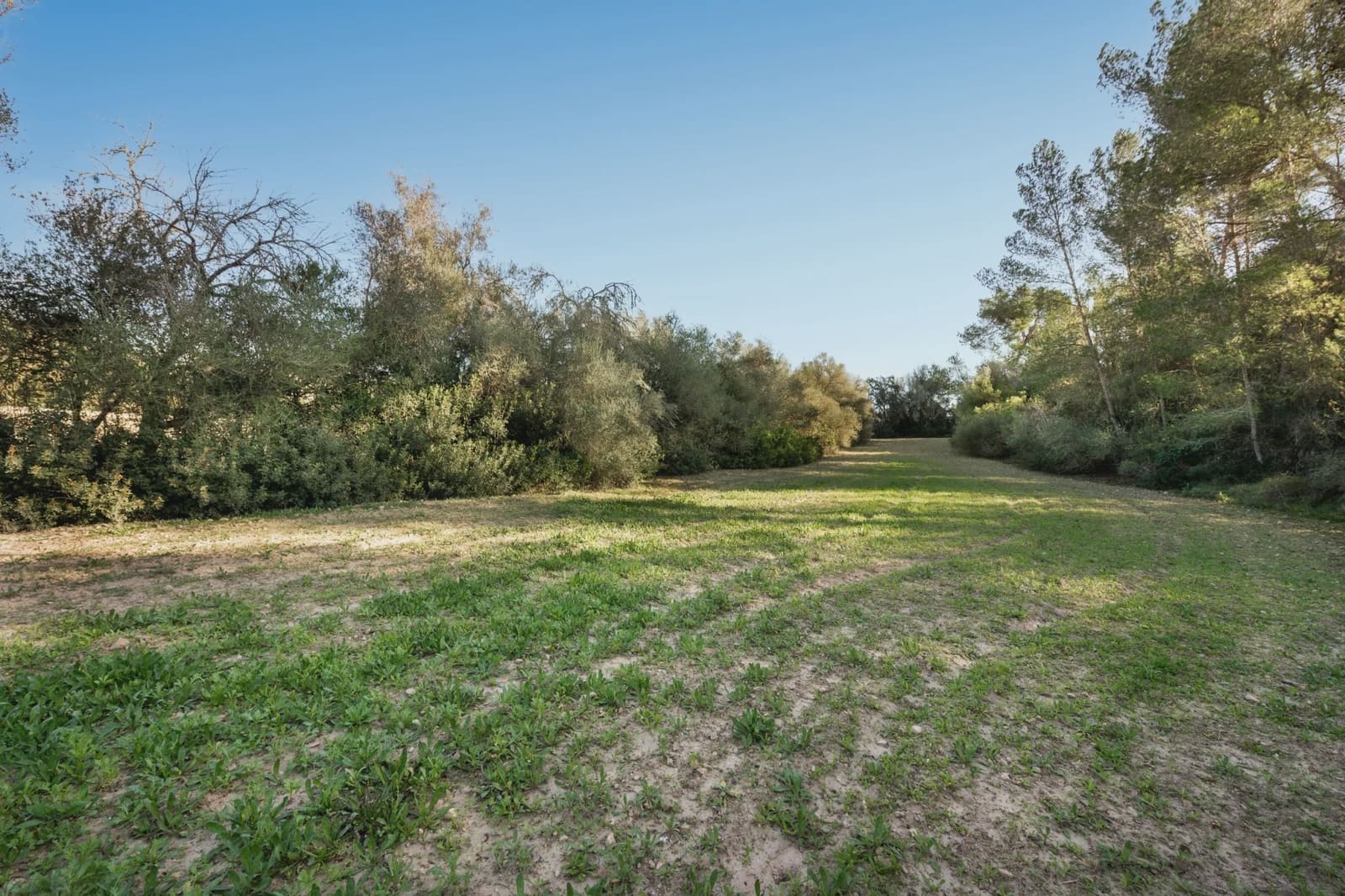 Undeveloped Land for sale in Lloret de Vista Alegre - € 157,000 (Ref: 9006639)