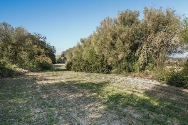 Landgrundstück zu verkaufen in Lloret de Vista Alegre - 157.000 € (Ref: 9006639)
