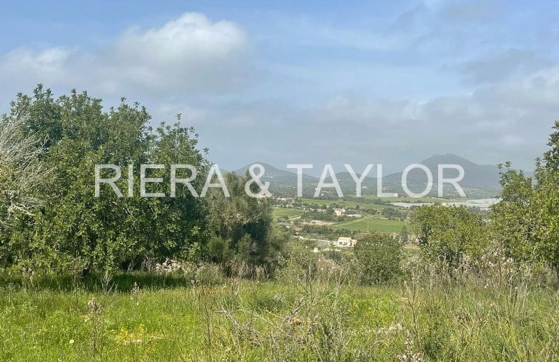 Grunde uden byggetilladelser til salg i Manacor - € 185.000 (Ref: 9013024)