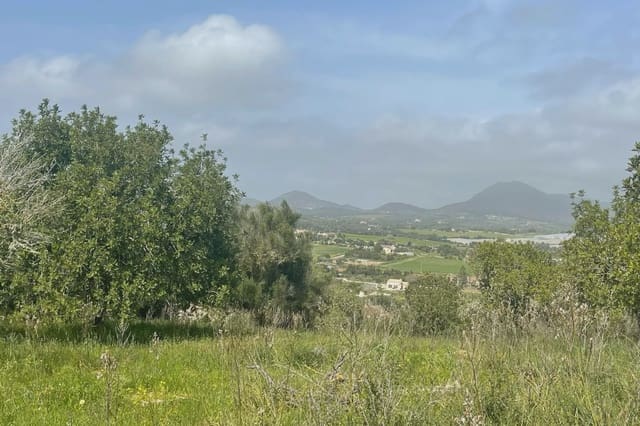 Grunde uden byggetilladelser til salg i Manacor - € 185.000 (Ref: 9013024)