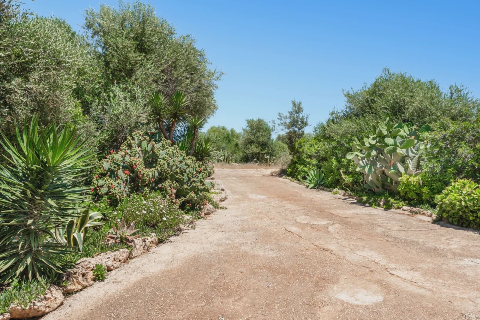 3 slaapkamer Huis te koop in Cala Romantica - € 669.000 (Ref: 9058324)