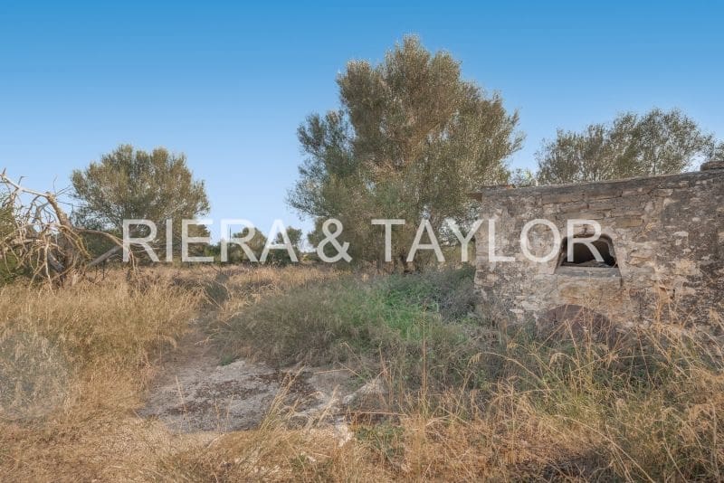 3 bedroom Finca/Country House for sale in Manacor - € 300,000 (Ref: 9072743)