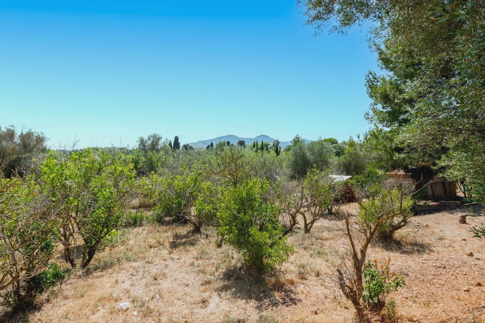 4 bedroom Finca/Country House for sale in Son Servera - € 749,000 (Ref: 9116760)