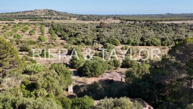 Mark till salu i Sant Llorenç des Cardassar - 395 000 € (Ref: 9128669)