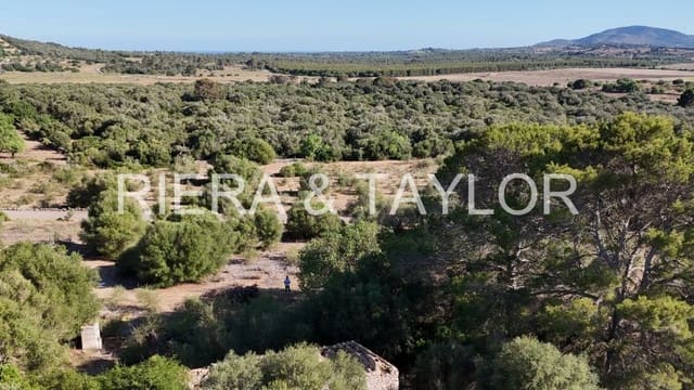 Mark till salu i Sant Llorenç des Cardassar - 395 000 € (Ref: 9128669)