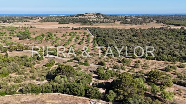 Grunde uden byggetilladelser til salg i Sant Llorenç des Cardassar - € 450.000 (Ref: 9128669)