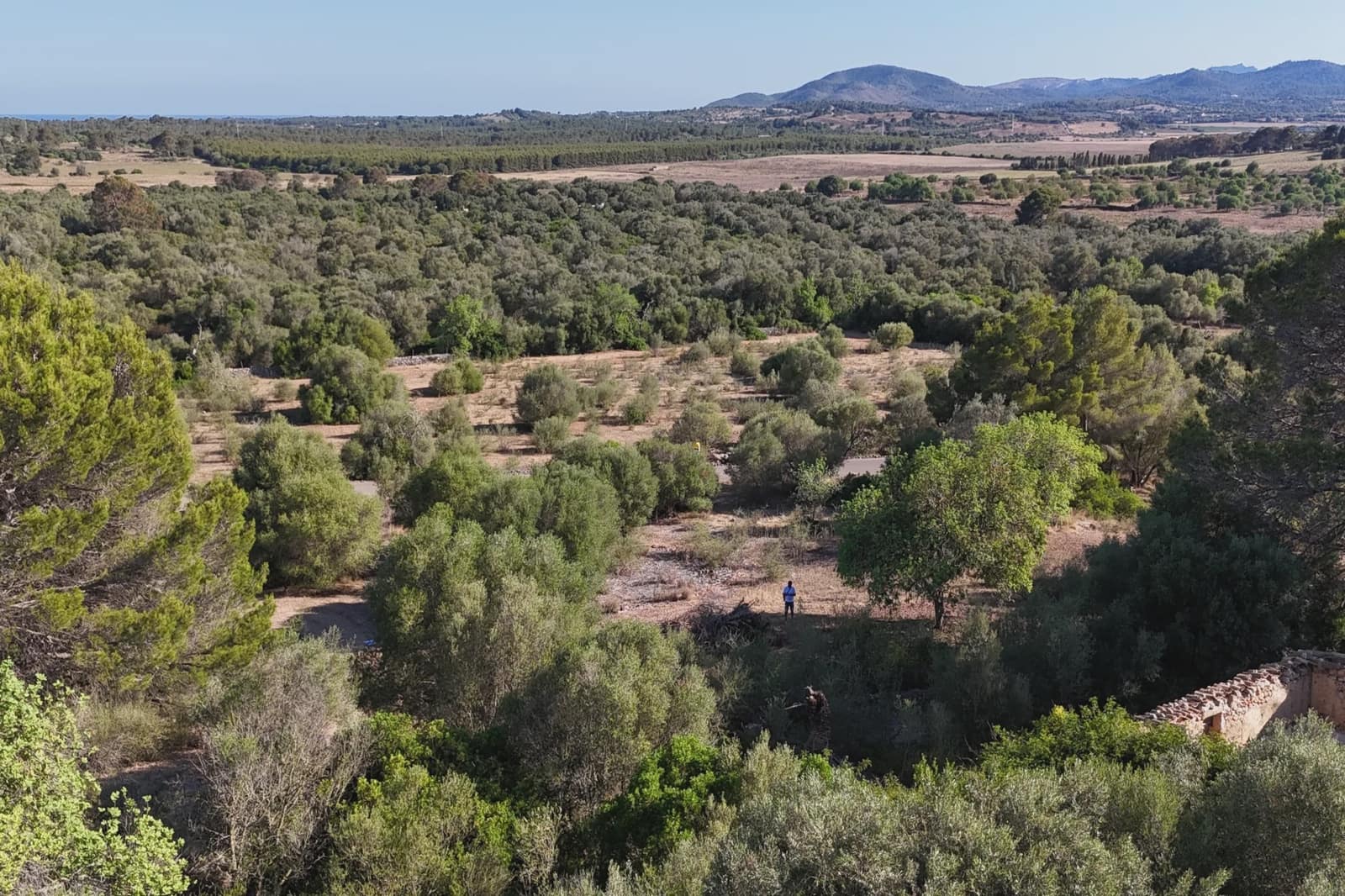 Ubebygd land til salgs i Sant Llorenc des Cardassar - € 395 000 (Ref: 9128669)