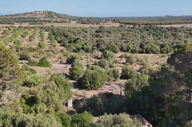 Teren niezagospodarowany na sprzedaż w Sant Llorenç des Cardassar - 395 000 € (Ref: 9128669)