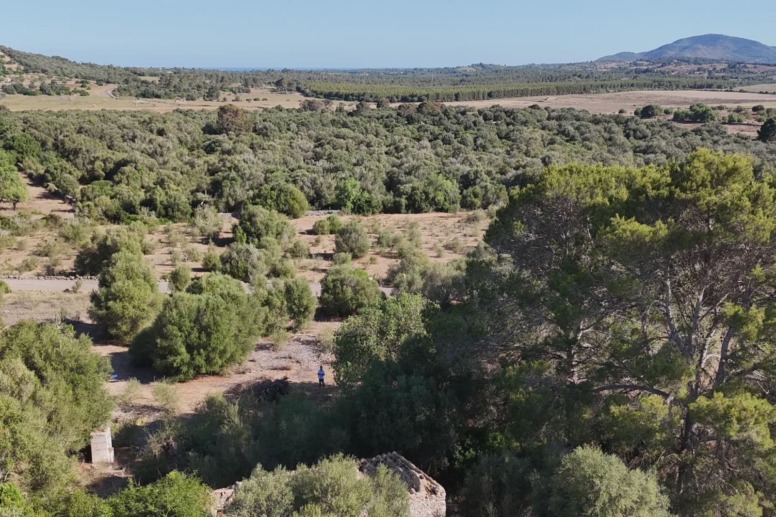 Ubebygd land til salgs i Sant Llorenc des Cardassar - € 395 000 (Ref: 9128669)