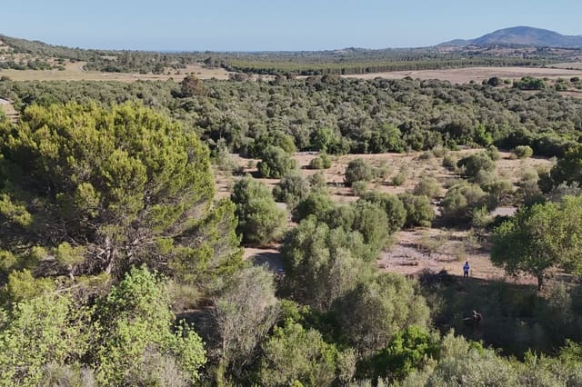 Teren niezagospodarowany na sprzedaż w Sant Llorenç des Cardassar - 395 000 € (Ref: 9128669)