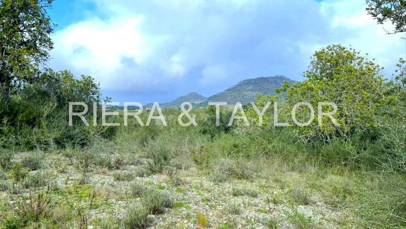 Grunde uden byggetilladelser til salg i Sant Llorenc des Cardassar - € 79.900 (Ref: 9134848)