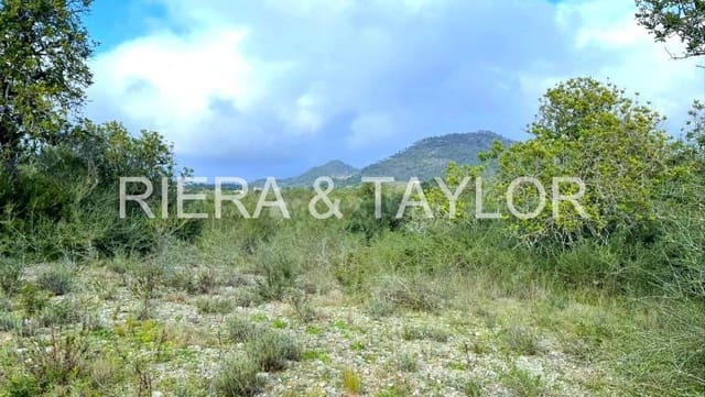 Grunde uden byggetilladelser til salg i Sant Llorenç des Cardassar - € 99.000 (Ref: 9134848)