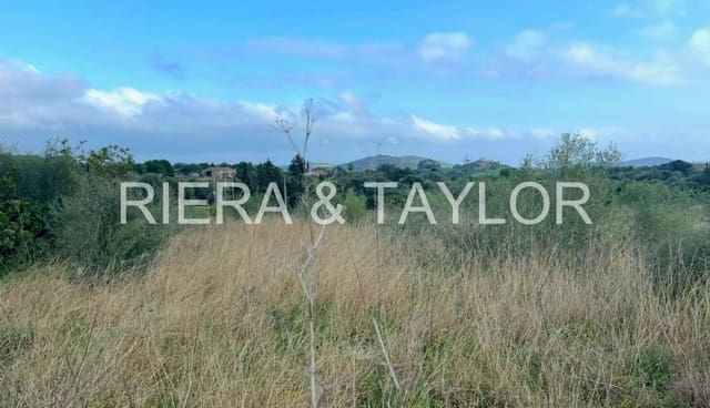 Mark till salu i Sant Llorenç des Cardassar - 79 900 € (Ref: 9134848)