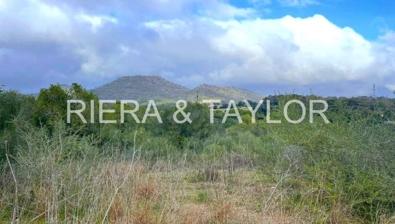 Grunde uden byggetilladelser til salg i Sant Llorenc des Cardassar - € 79.900 (Ref: 9134848)