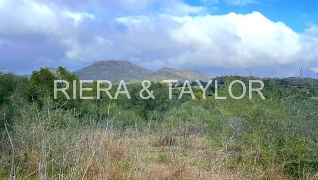 Mark till salu i Sant Llorenç des Cardassar - 79 900 € (Ref: 9134848)