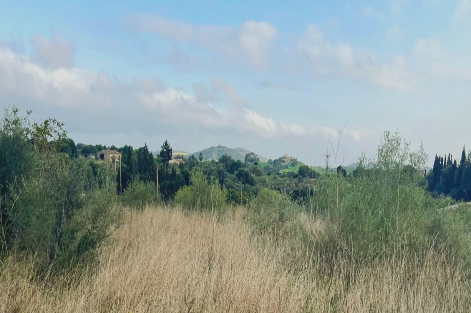 Ubebygd land til salgs i Sant Llorenc des Cardassar - € 75 900 (Ref: 9134848)