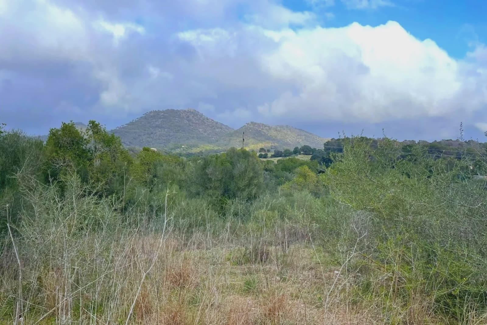 Ubebygd land til salgs i Sant Llorenc des Cardassar - € 75 900 (Ref: 9134848)