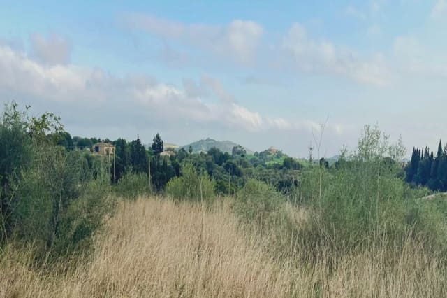 Terreno Non Edificato in vendita in Sant Llorenç des Cardassar - 75.900 € (Rif: 9134848)