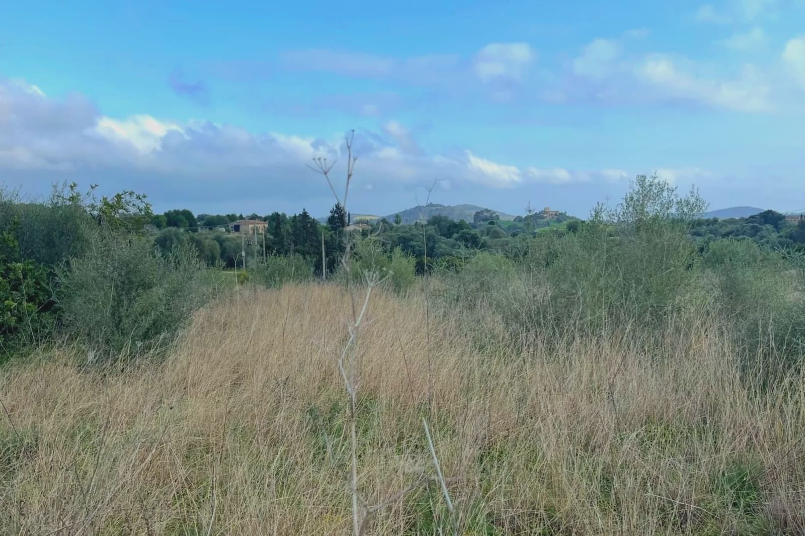 Ubebygd land til salgs i Sant Llorenc des Cardassar - € 75 900 (Ref: 9134848)