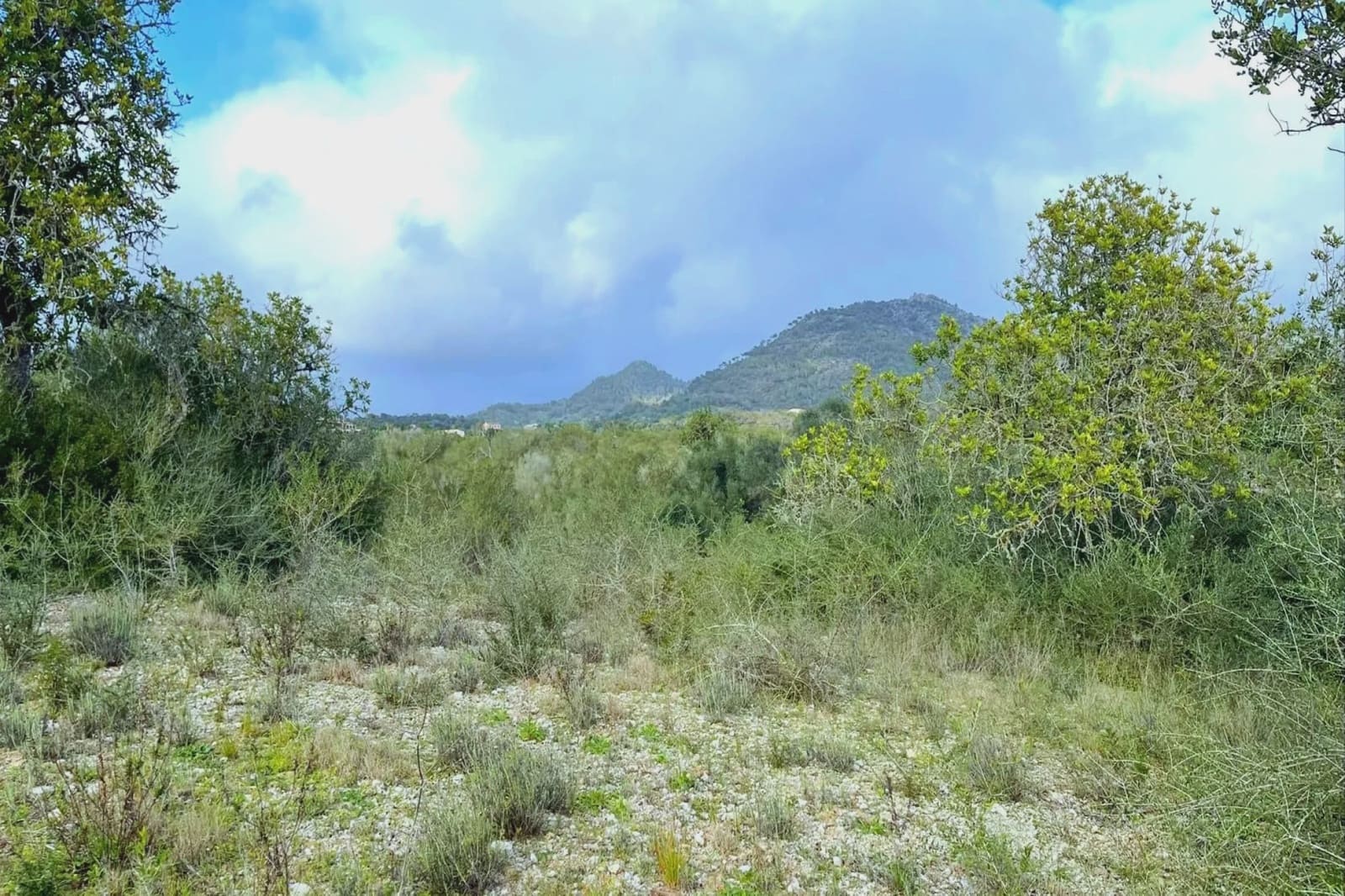 Ubebygd land til salgs i Sant Llorenc des Cardassar - € 75 900 (Ref: 9134848)