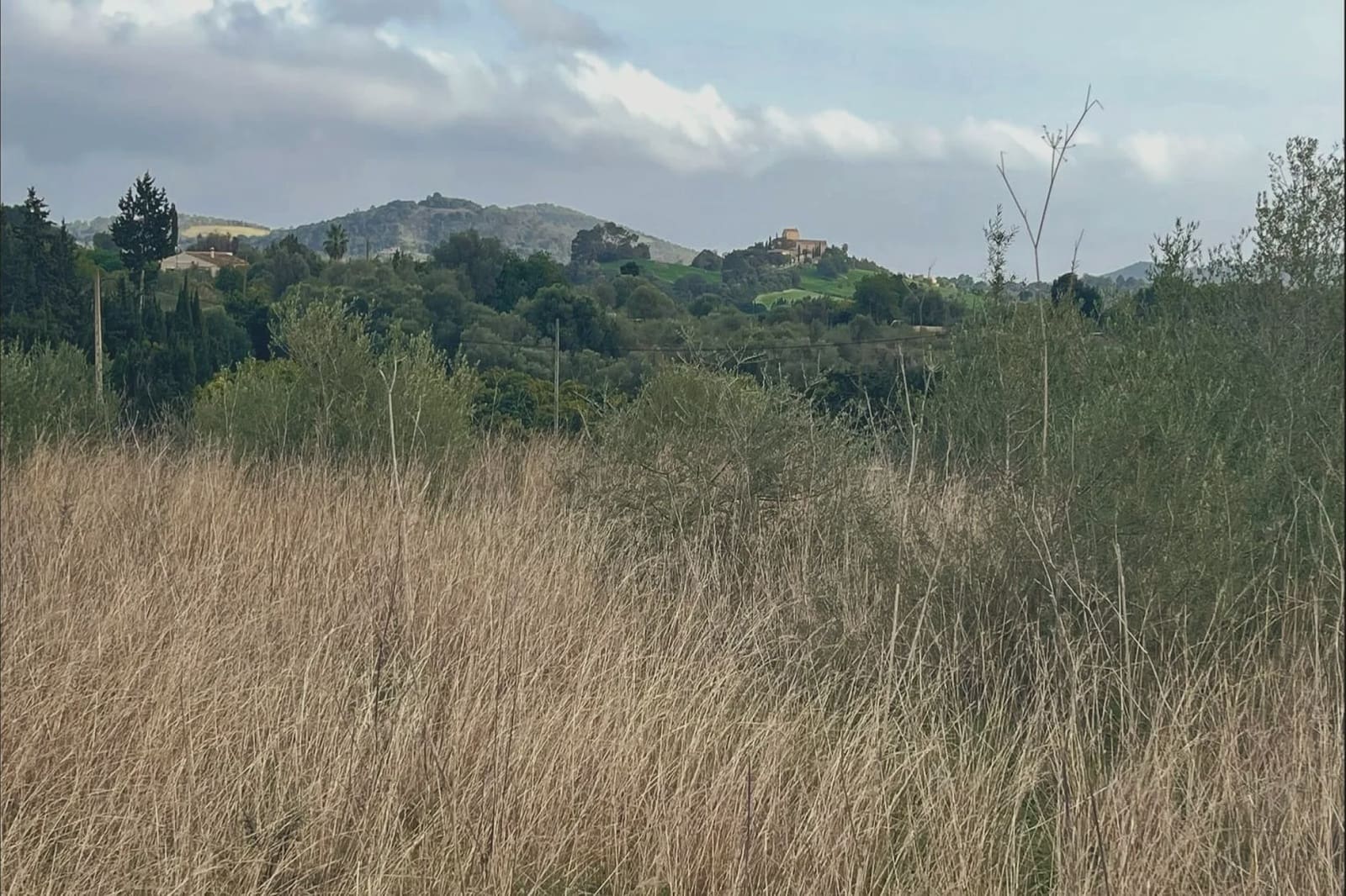 Ubebygd land til salgs i Sant Llorenc des Cardassar - € 75 900 (Ref: 9134848)