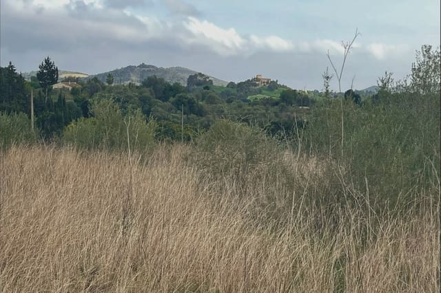 Terreno Non Edificato in vendita in Sant Llorenç des Cardassar - 75.900 € (Rif: 9134848)