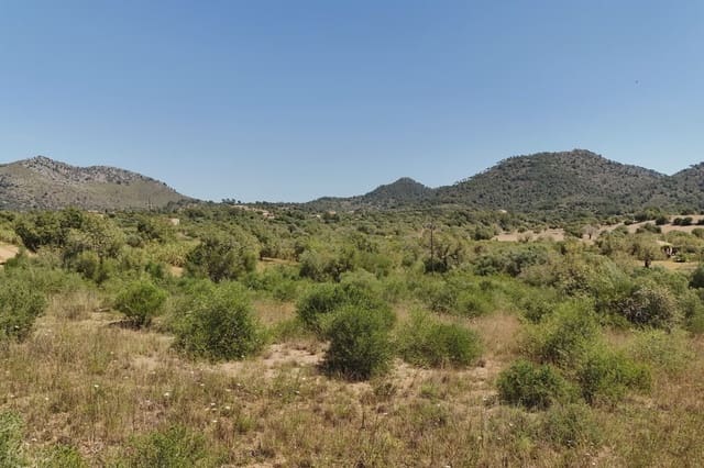 Undeveloped Land for sale in Sant Llorenç des Cardassar - € 75,900 (Ref: 9134848)