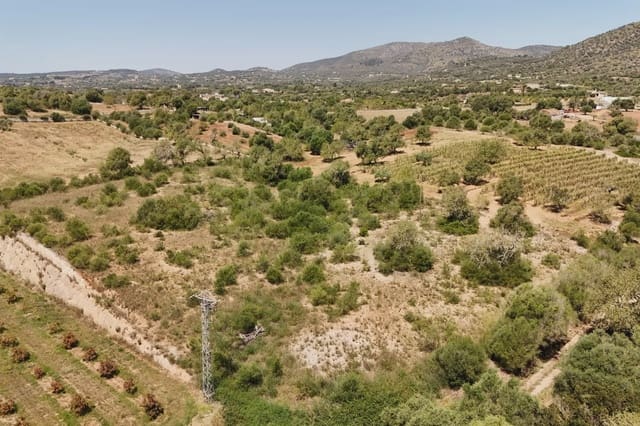 Undeveloped Land for sale in Sant Llorenç des Cardassar - € 75,900 (Ref: 9134848)