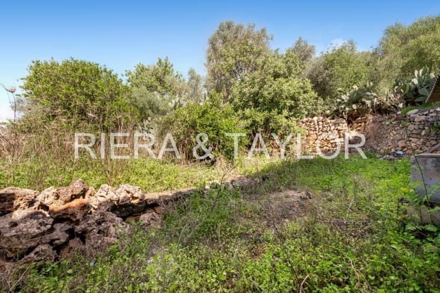 Finca/Country House for sale in Manacor - € 420,000 (Ref: 9162761)