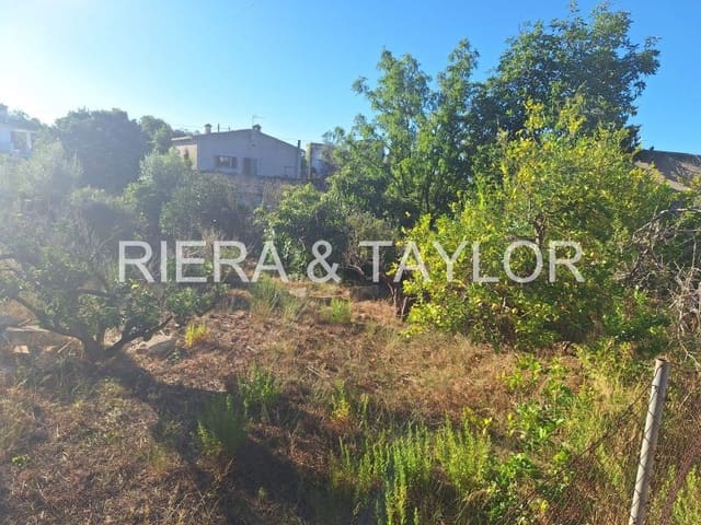 Area Edificabile in vendita in Sant Llorenç des Cardassar - 425.000 € (Rif: 9203065)
