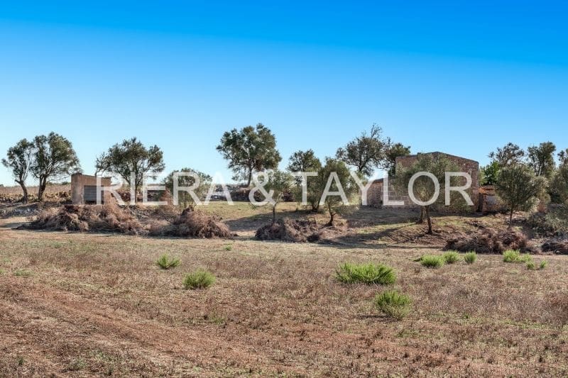 2 sovrum Finca/Hus på landet till salu i Manacor - 350 000 € (Ref: 9251584)