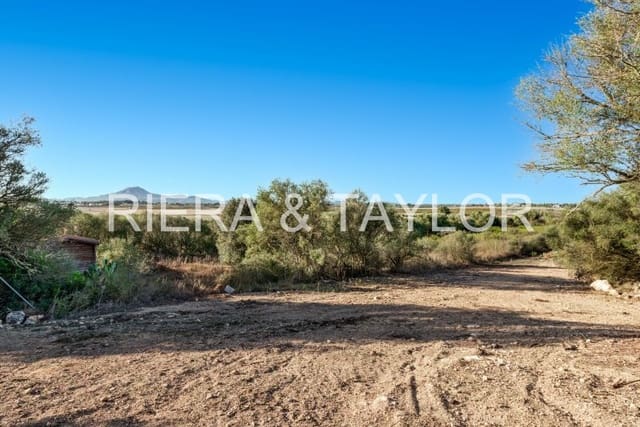 2 sovrum Finca/Hus på landet till salu i Manacor - 350 000 € (Ref: 9251584)