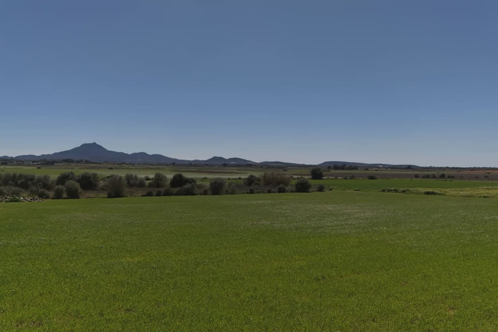2 Zimmer Finca/Landgut zu verkaufen in Manacor - 330.000 € (Ref: 9251584)