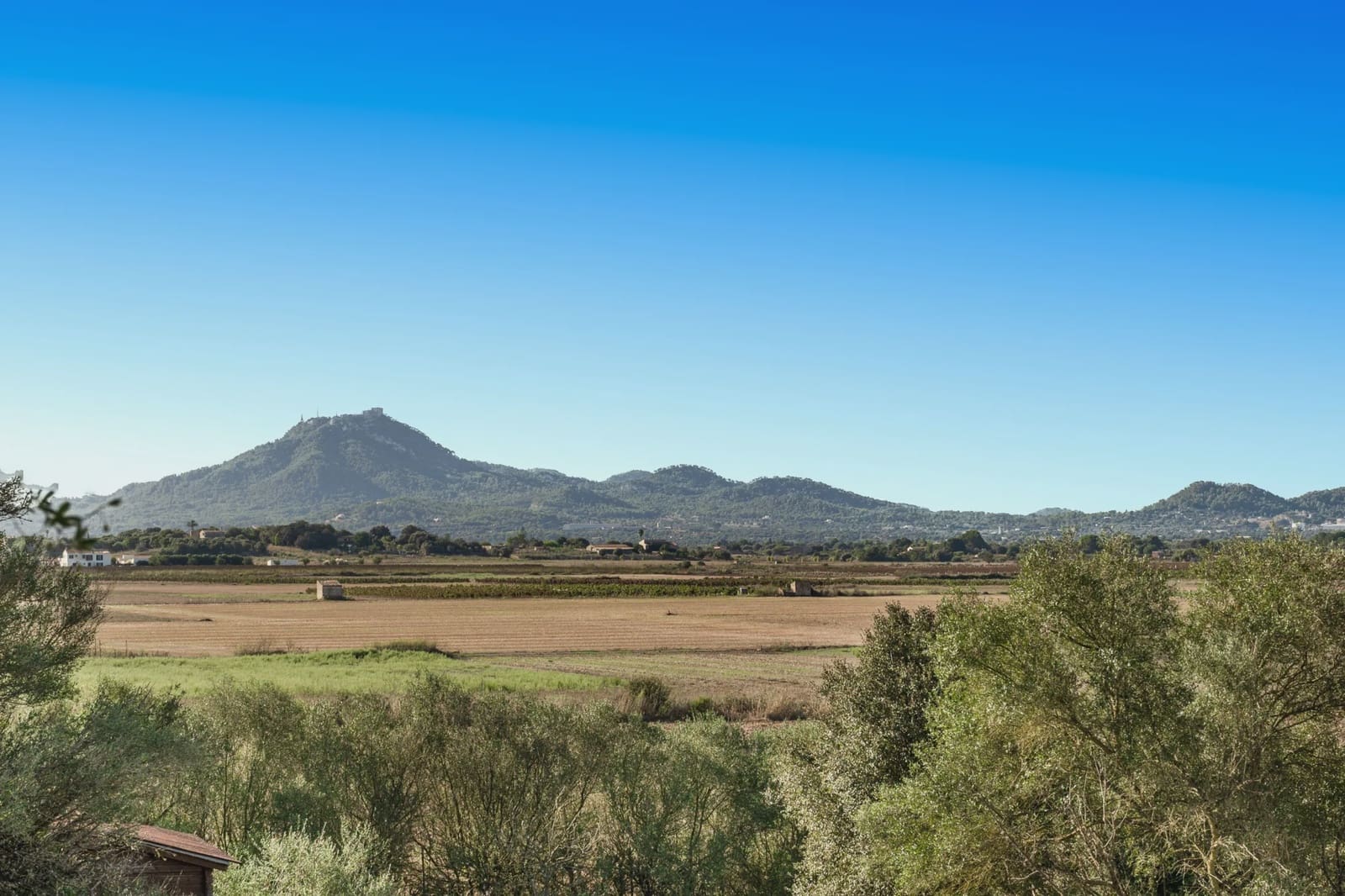 2 Zimmer Finca/Landgut zu verkaufen in Manacor - 330.000 € (Ref: 9251584)
