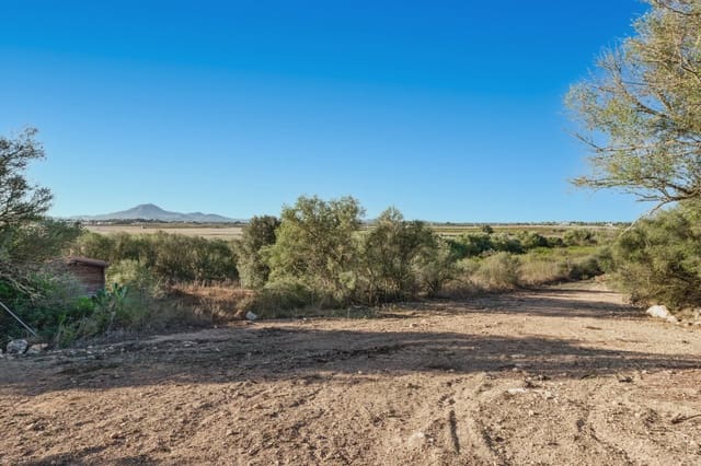 2 sovrum Finca/Hus på landet till salu i Manacor - 330 000 € (Ref: 9251584)