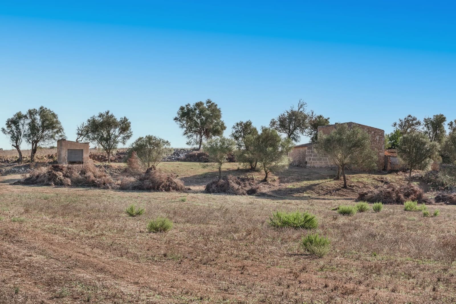 2 Zimmer Finca/Landgut zu verkaufen in Manacor - 330.000 € (Ref: 9251584)