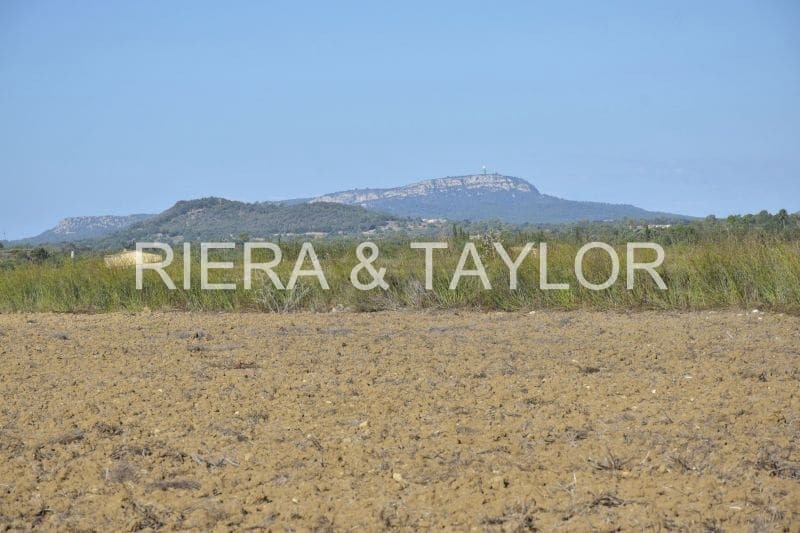 Teren niezagospodarowany na sprzedaż w Felanitx - 249 000 € (Ref: 9258108)