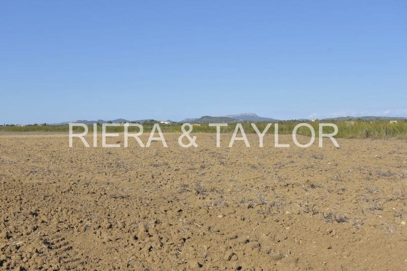 Teren niezagospodarowany na sprzedaż w Felanitx - 249 000 € (Ref: 9258108)