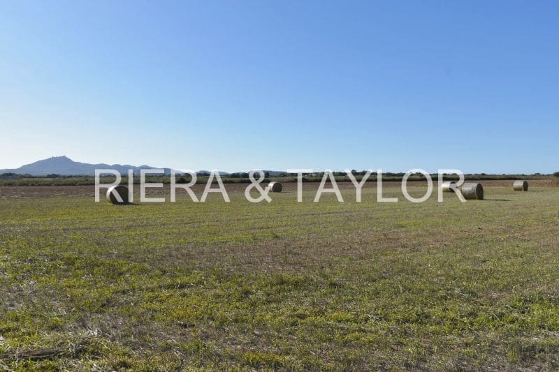 Teren niezagospodarowany na sprzedaż w Felanitx - 249 000 € (Ref: 9258108)