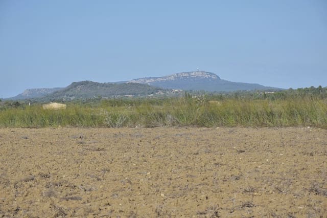 Terre non Aménagée à vendre à Felanitx - 249 000 € (Ref: 9258108)