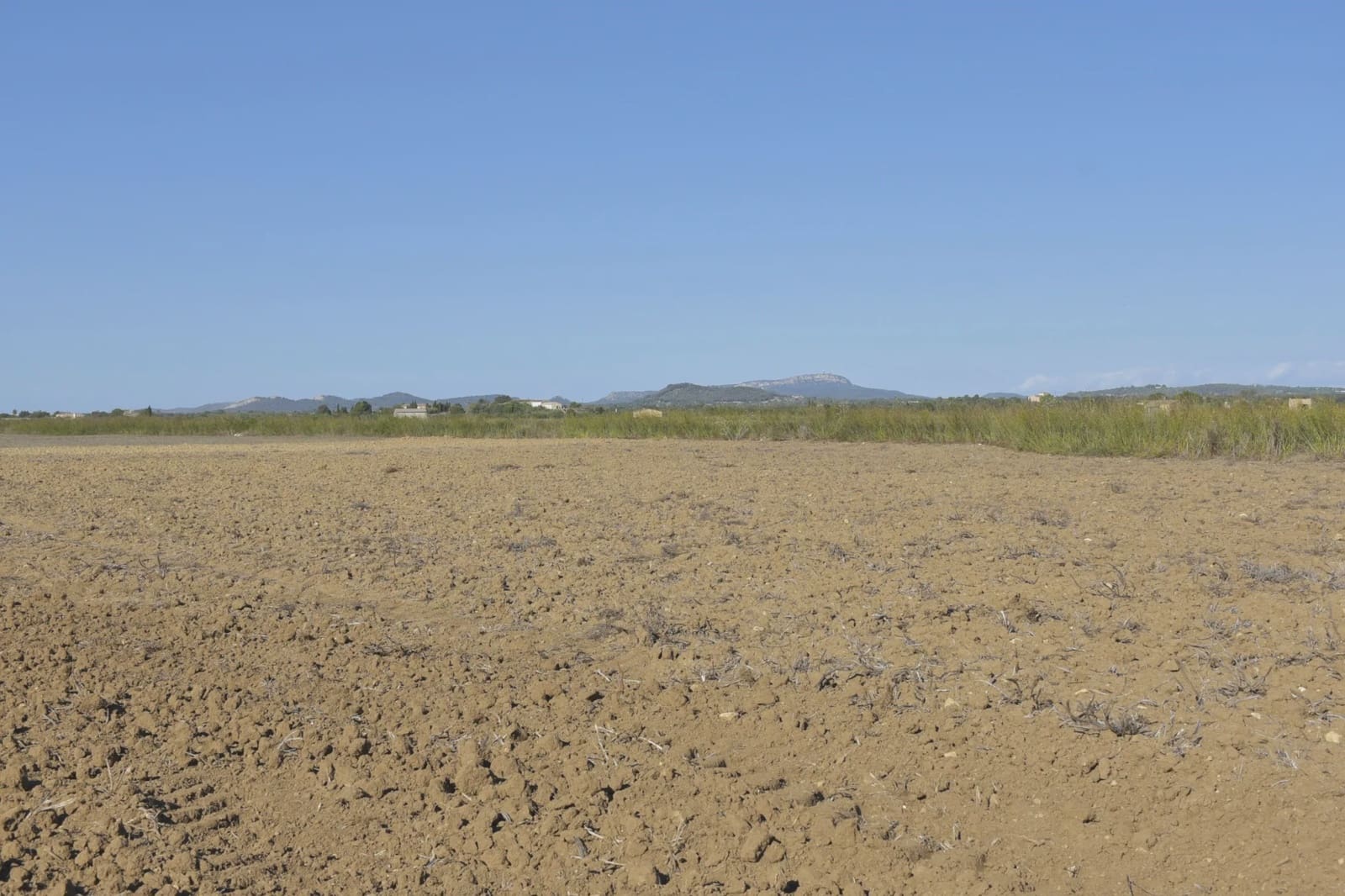 Undeveloped Land for sale in Felanitx - € 249,000 (Ref: 9258108)