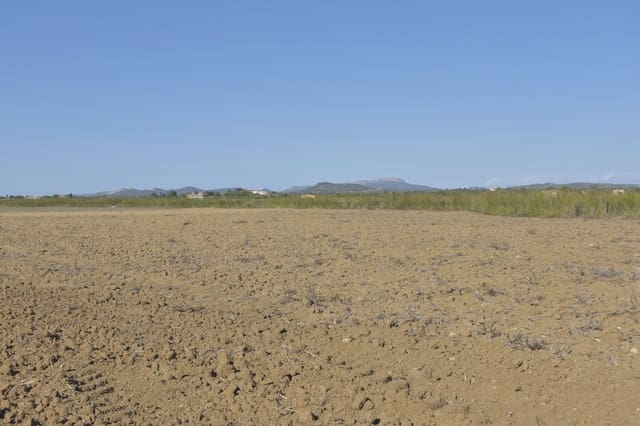 Terre non Aménagée à vendre à Felanitx - 249 000 € (Ref: 9258108)