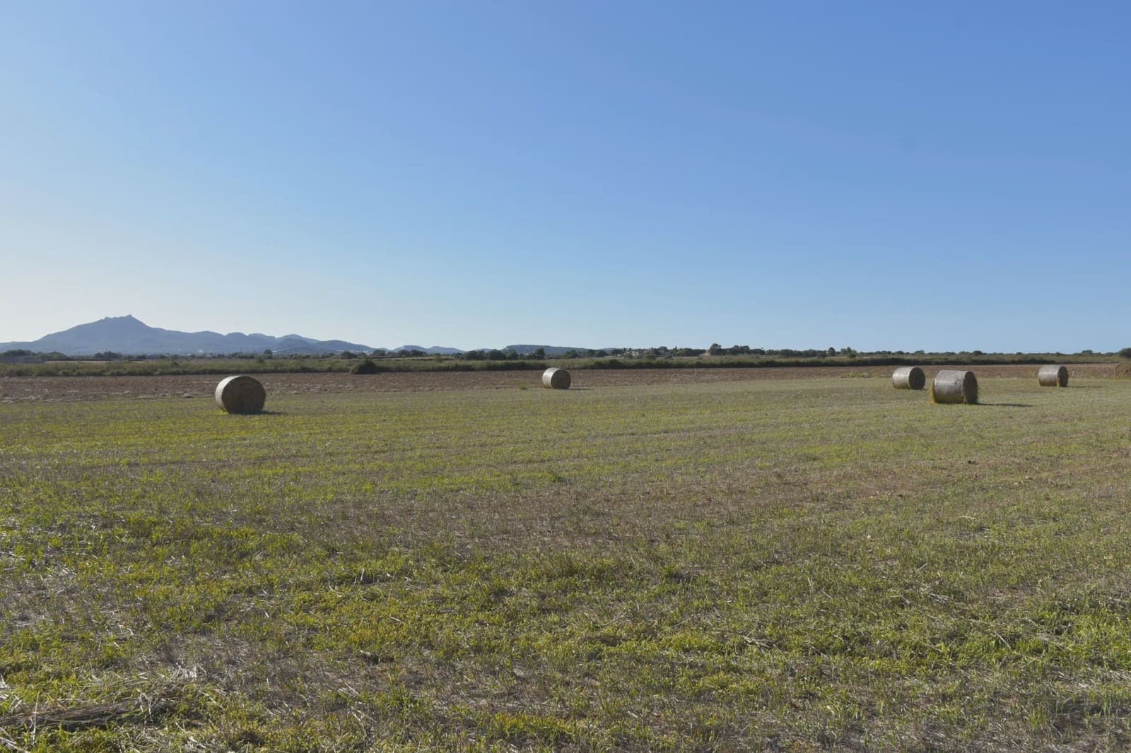 Undeveloped Land for sale in Felanitx - € 249,000 (Ref: 9258108)