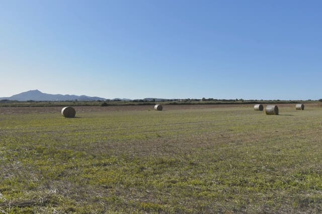 Terre non Aménagée à vendre à Felanitx - 249 000 € (Ref: 9258108)