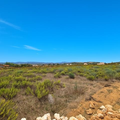 Undeveloped Land for sale in Felanitx - € 19,900 (Ref: 9294743)