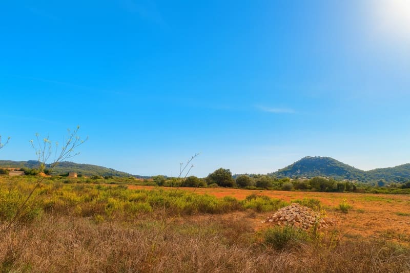Terreno Não Urbanizado para venda em Felanitx - 19 900 € (Ref: 9294743)