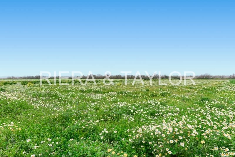 Finca/Landehus til salg i Campos - € 287.000 (Ref: 9308739)