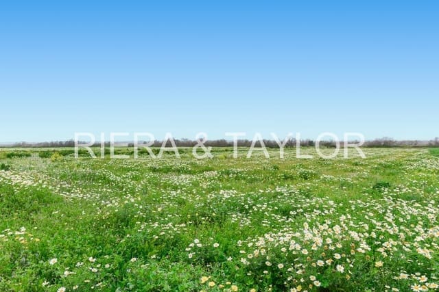 Finca/Landehus til salg i Campos - € 287.000 (Ref: 9308739)